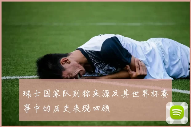 瑞士国家队别称来源及其世界杯赛事中的历史表现回顾