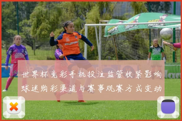 世界杯竞彩手机投注监管收紧影响球迷购彩渠道与赛事观赛方式变动